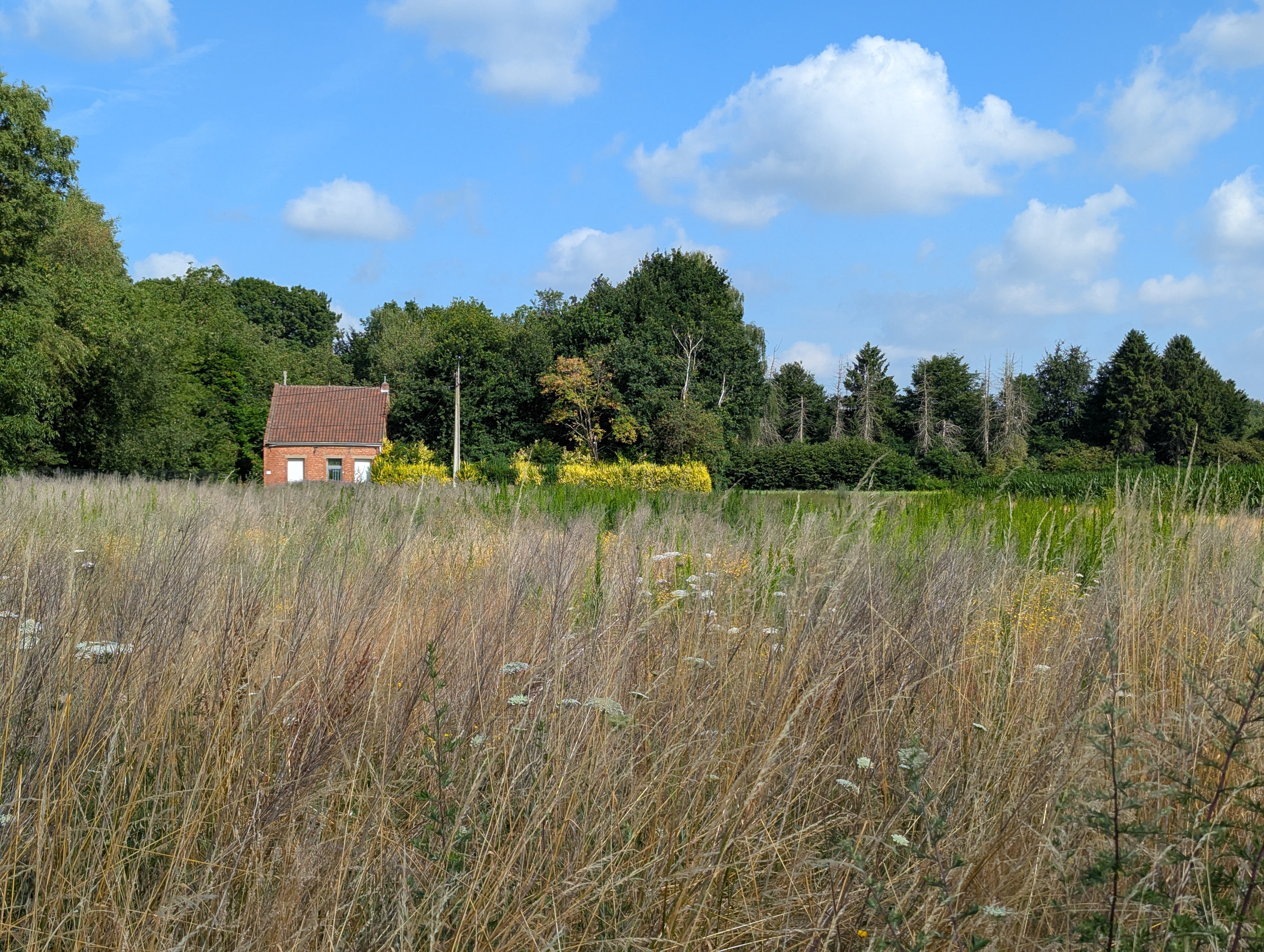 A picture of a house in a field